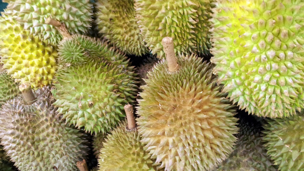 Durian
